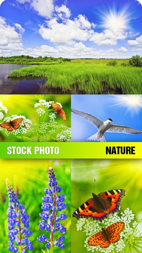 Фотошоп шаблоны "Природа" скачать бесплатно