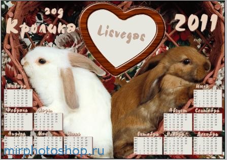 рамка календарик на 2011 год кролика